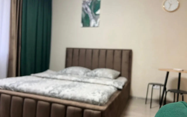 Квартира Курыжова 30