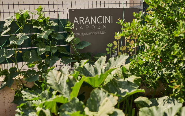 Апарт-отель Arancini Residence