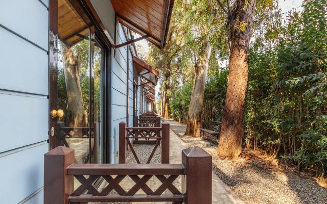 Отель Ora