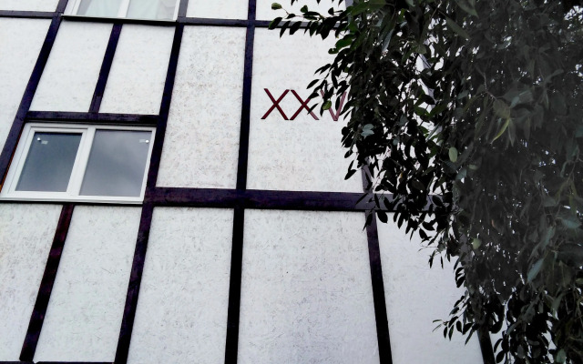 Апартаменты Olzhicha XXV