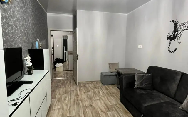 Квартира Уютная