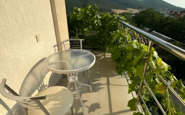 Vinograd Guest House