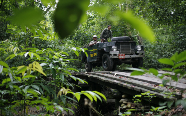 Кемпинг Tigertops Elephant Camp