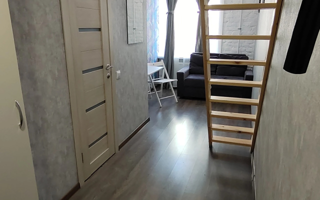 Квартира Студия на Большом проспекте ПС, 51/9