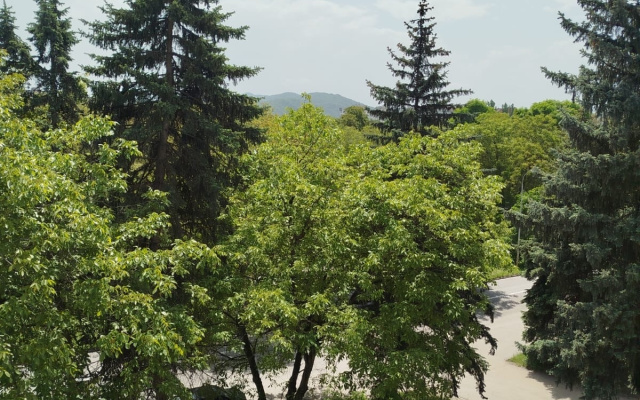 Квартира Шортанова 17