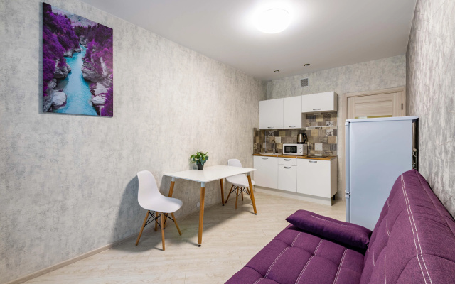 Апартаменты DreamHouse на Самолетной 31