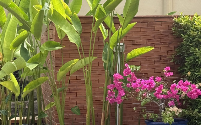 Вилла Soi baan song thai