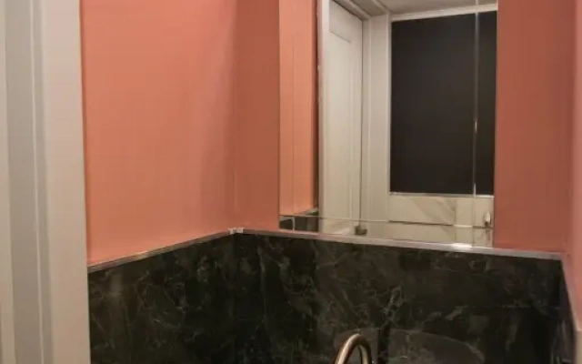 Квартира Делюкс Гороховая 31