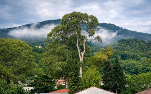 Lulu Guesthouse