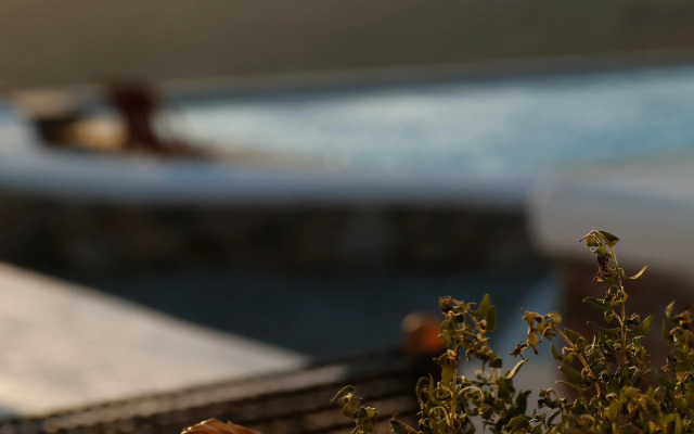Отель Thronos Suites