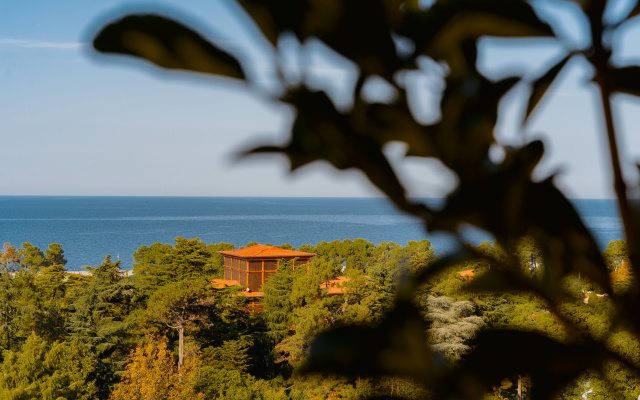 Grounds · Batumi — photo 38