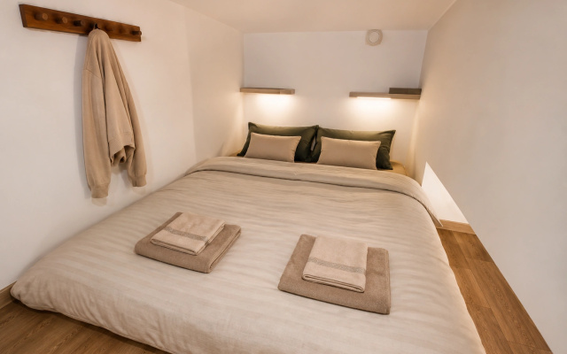 Апартаменты Roomstay Гривцова 13 Comfort Double Studio #7