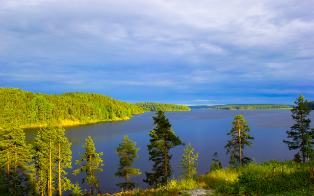 Гостевой Дом Holyday Home Karelia в Лахденпохье отзывы, цены и фото номеров - забронировать гостиницу Гостевой Дом Holyday Home Karelia онлайн Лахденпохья приотельная территория