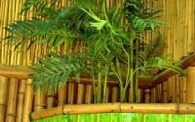 Гостевой дом Bamboo 1