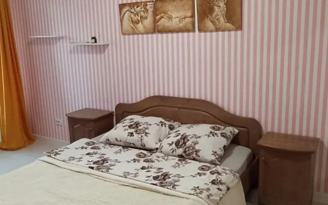 Квартира Большая двухкомнатная на Варкауса