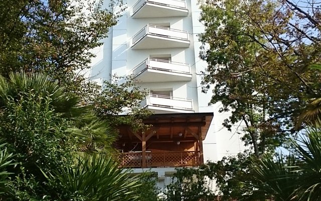 Апартаменты Светлана в Сочи 4 отзыва об отеле, цены и фото номеров - забронировать гостиницу Светлана онлайн вид на фасад
