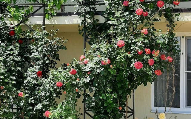 Guest House on Aivazovskogo 38