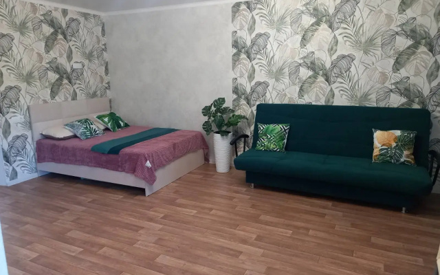 Квартира Айда к Регине (Лазо 21а)