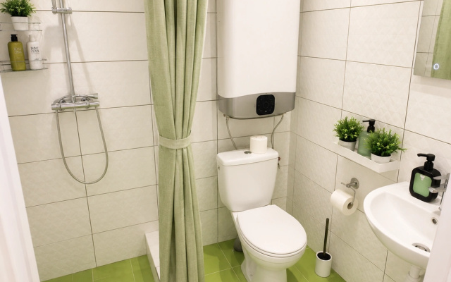 Апартаменты Roomstay Гривцова 13 Comfort Double Studio #7