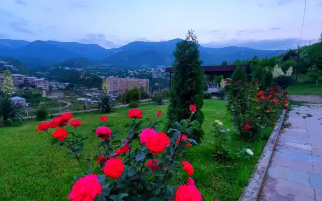 Гостевой дом Ijevan's Garden