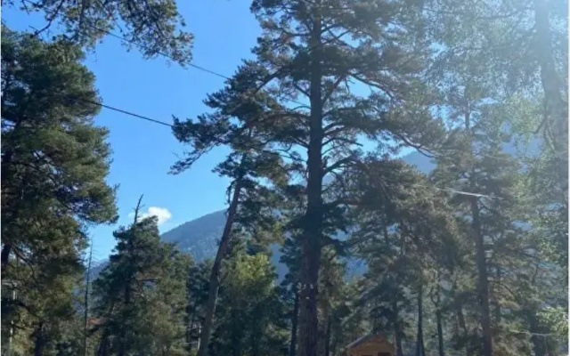 Шале Solu Chalet