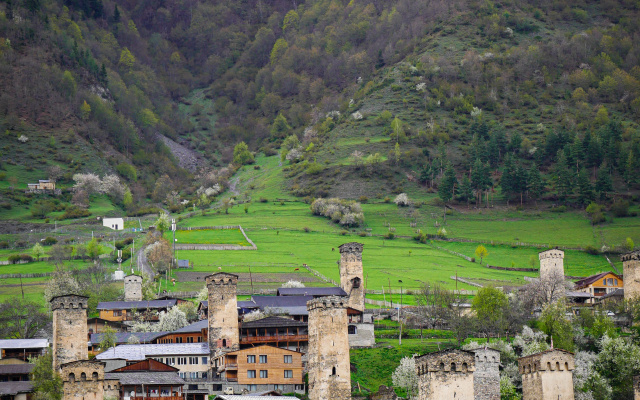 Grounds · Mestia — photo 25