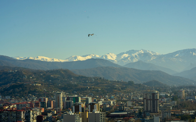 Grounds · Batumi — photo 9