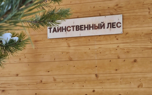 Глэмпинг Дивий Камень
