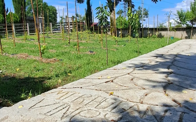 Апарт-отель Mtrediani Wine Lodge