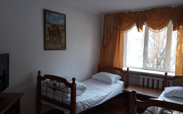 Pana Inn Hotel in Almaty, Kazakhstan from 115$, photos, reviews - zenhotels.com guestroom