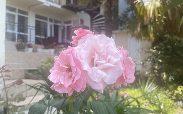 Granat Guest House