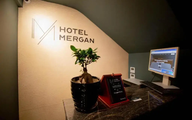 Отель Mergan