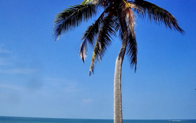 Санаторий Ocean of Life Ayurvedic