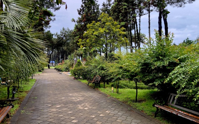 Kolhida Hotel · Ureki — photo 27