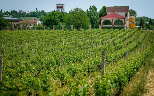 Отель Chabiant Winery