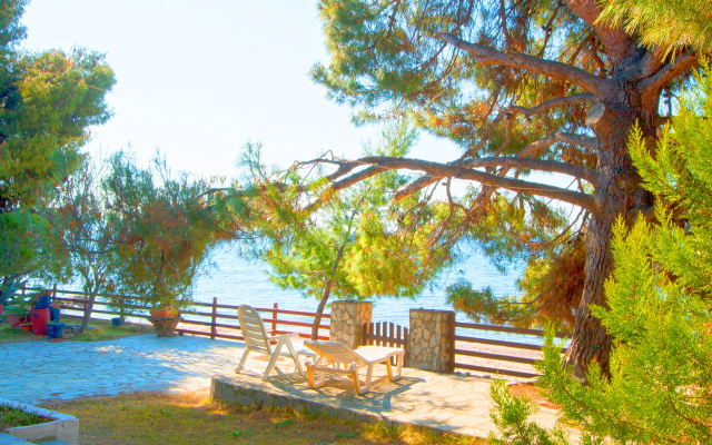 Гостевой Дом Barlee BeachFront House Metamorfosi