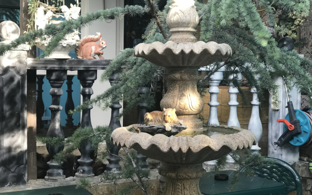 Гостевой Дом Волшебный Дворик Magic Patio