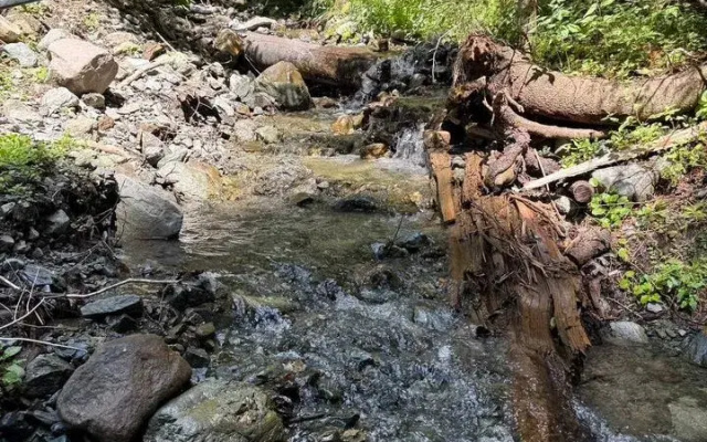 Шале Зарево 4