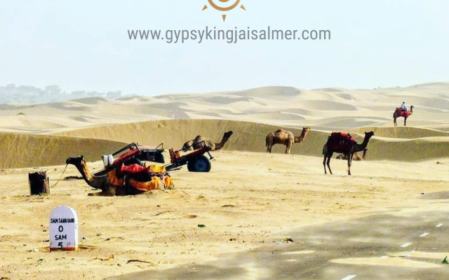 Апартаменты Gypsy King Desert Safari Camps & Resort