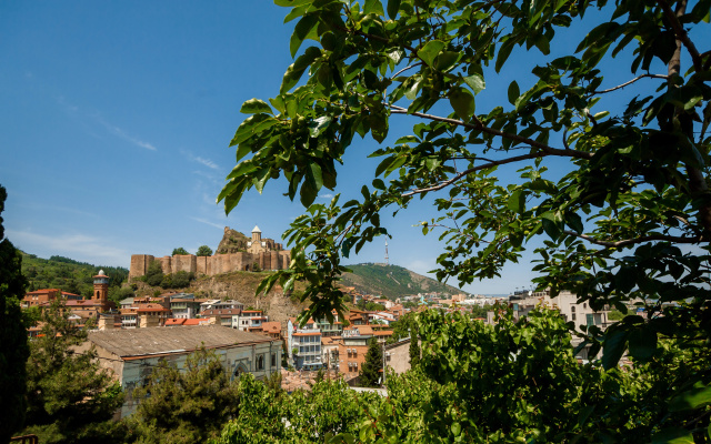 Grounds · Tbilisi — photo 29
