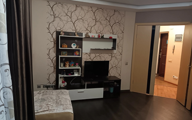 Квартира на Мяги 24А