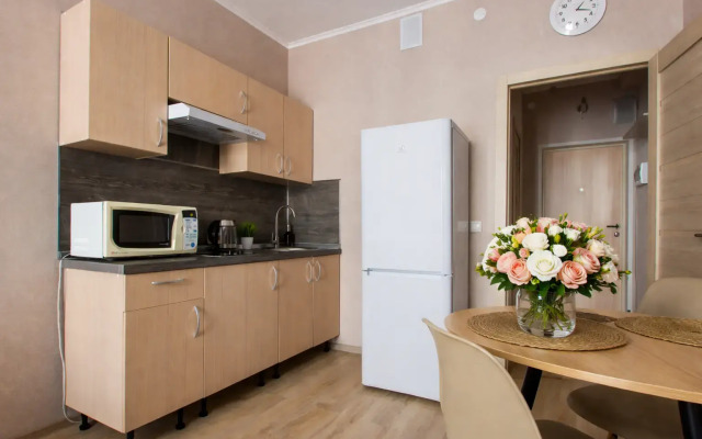 Апартаменты Студия Natalie Apartments Пулковское шоссе 14 Е (16)