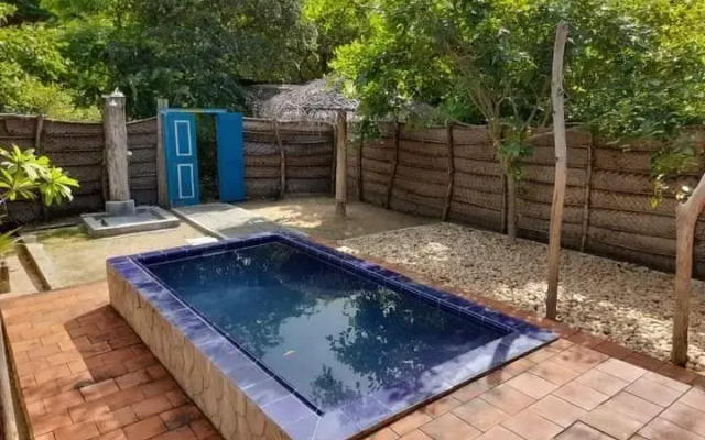 Отель Wild Wadi Wilpattu