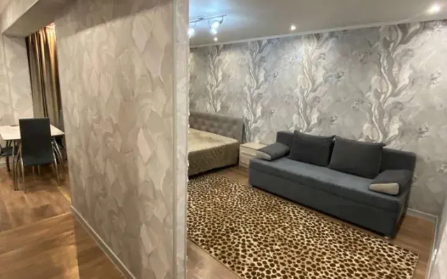 Квартира на Улице Ботвина 8 (63)