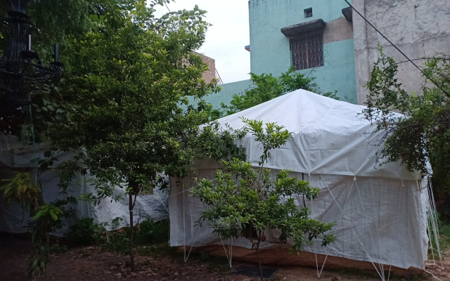 Кемпинг Nature trail camps & homestay