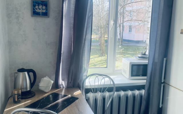 Квартира в Петергофе посуточно