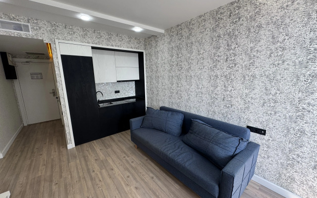 Апартаменты Aliance Palace Apartments u Mzii