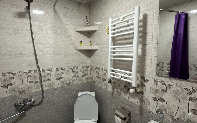 Bathroom · Stepantsminda — photo 31