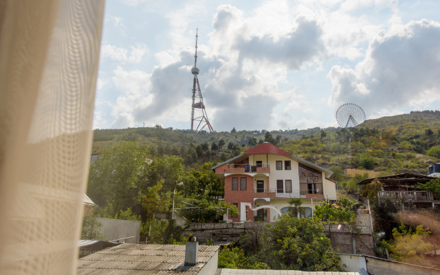 Grounds · Tbilisi — photo 42
