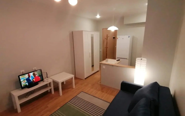 Апартаменты Comfortable Studio Vladimir
